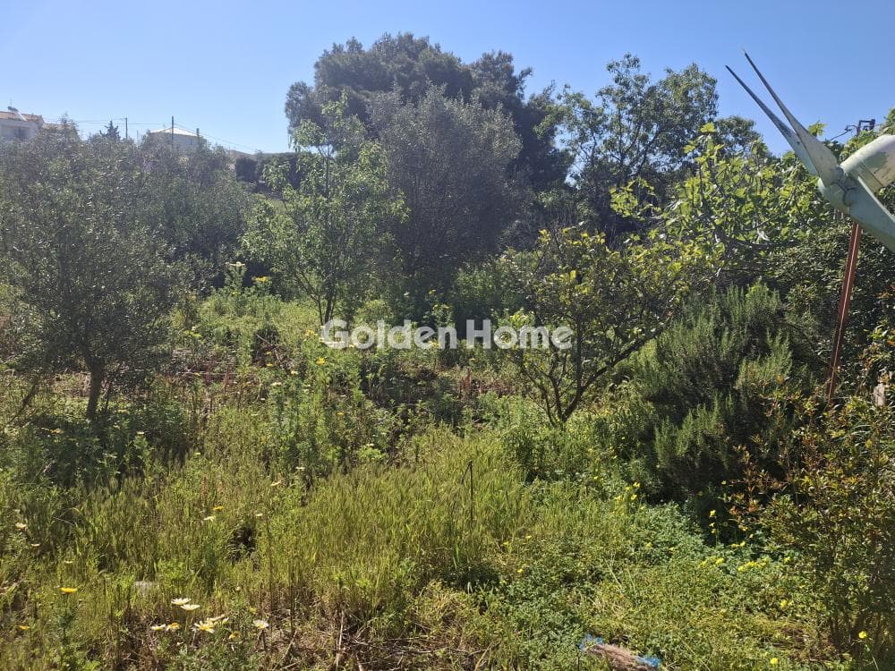 Αγροτεμάχιο στην Συντερίνα, Ανάβυσσος — Φωτογραφία 6 από 9