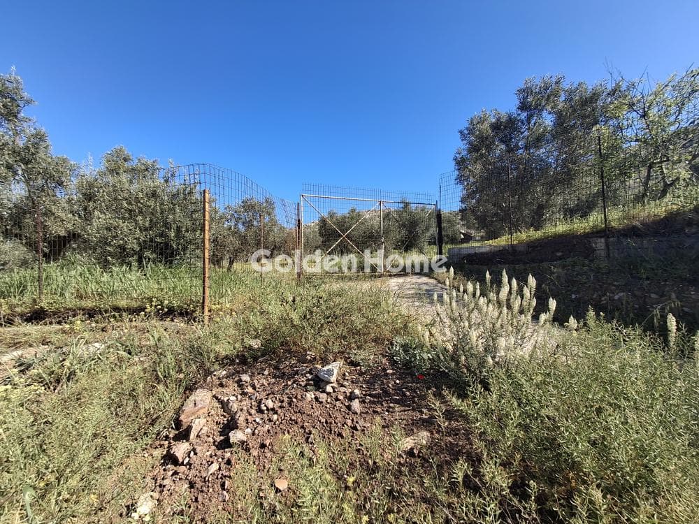 Αγροτεμάχιο στην Συντερίνα, Ανάβυσσος — Φωτογραφία 4 από 9