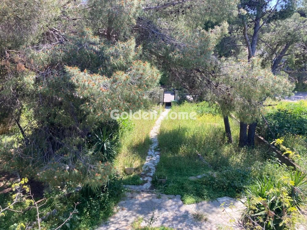 House in Megala Sxoinia A, Acharnes — Photo 2 of 5