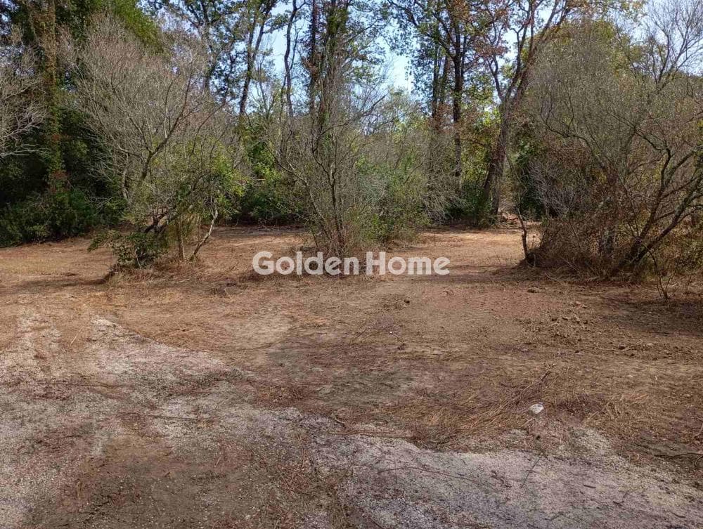 Building Plot in Faiakes, Corfu — Photo 2 of 11