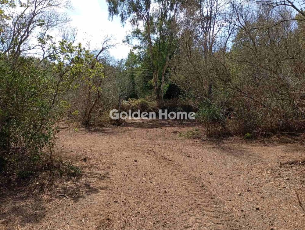 Building Plot in Faiakes, Corfu — Photo 3 of 11
