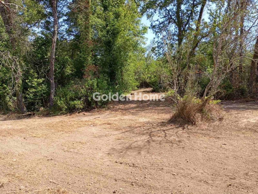Building Plot in Faiakes, Corfu — Photo 4 of 11