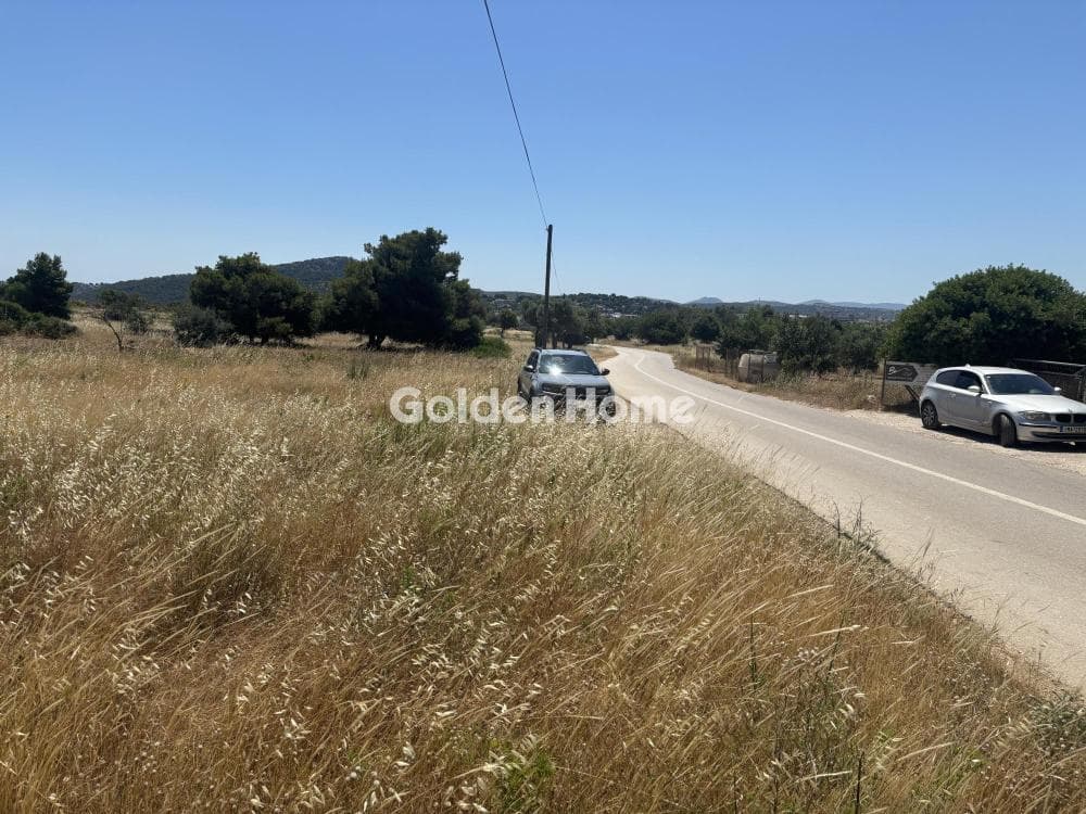 Αγροτεμάχιο στην Διώνη, Πικέρμι — Φωτογραφία 4 από 14