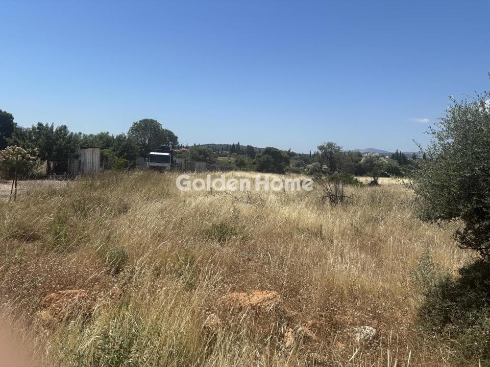 Αγροτεμάχιο στην Διώνη, Πικέρμι — Φωτογραφία 9 από 14