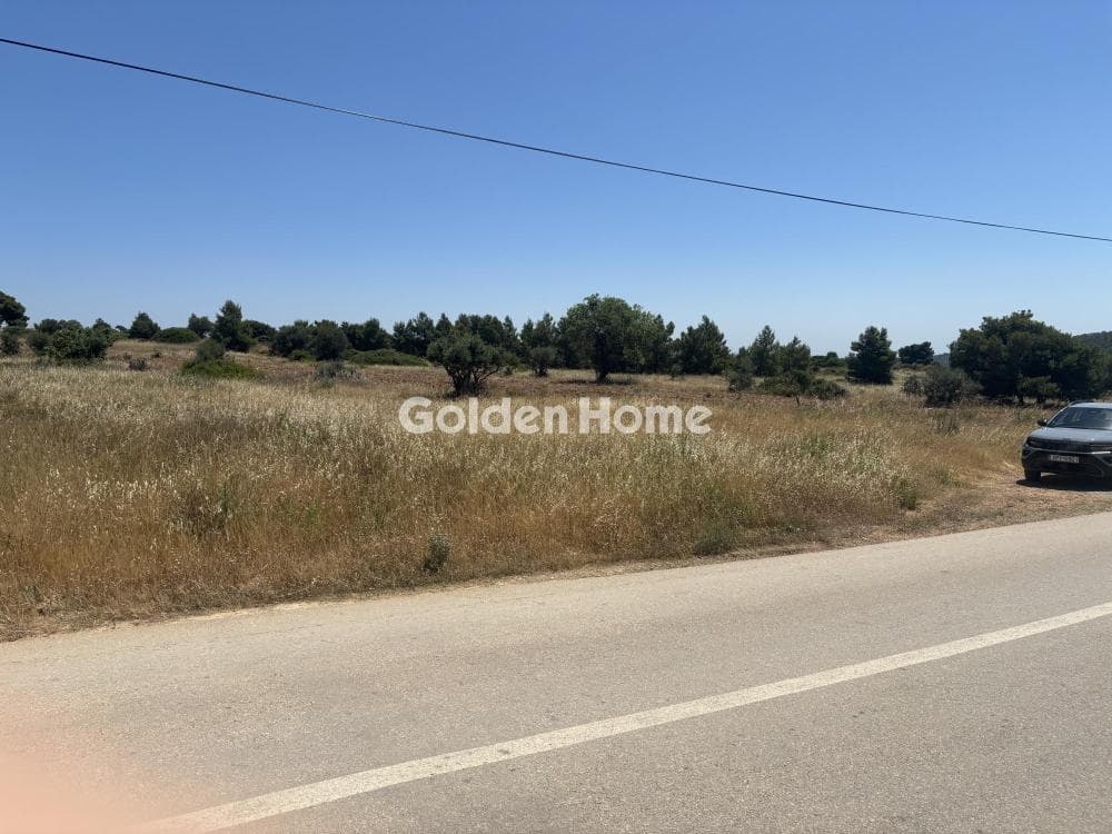Αγροτεμάχιο στην Διώνη, Πικέρμι — Φωτογραφία 8 από 14