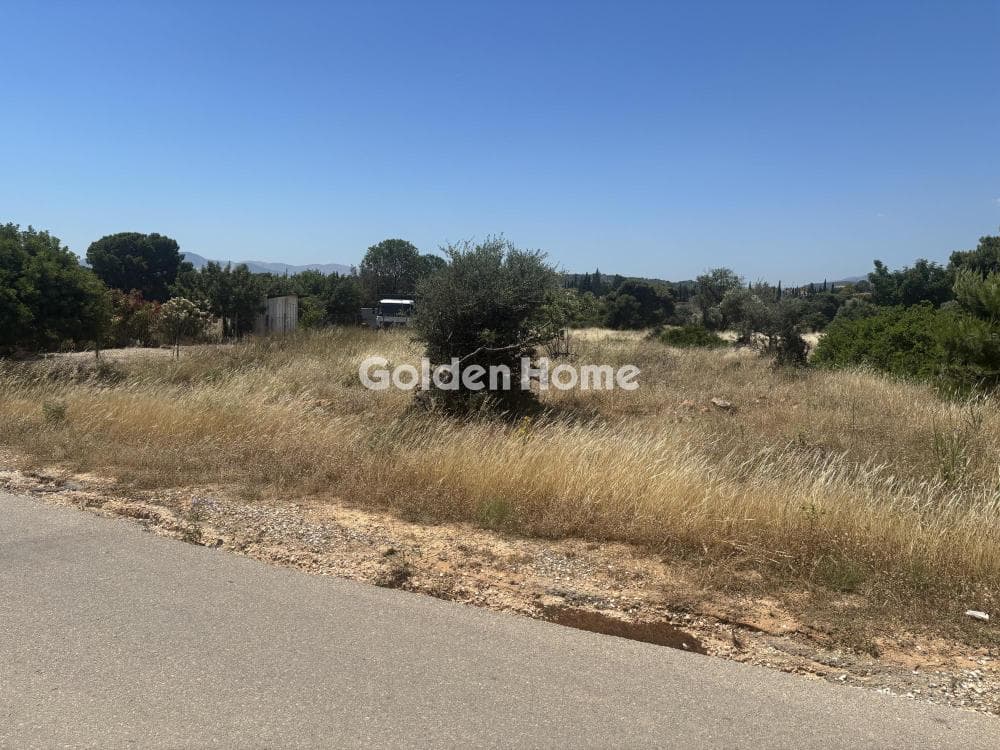 Αγροτεμάχιο στην Διώνη, Πικέρμι — Φωτογραφία 14 από 14