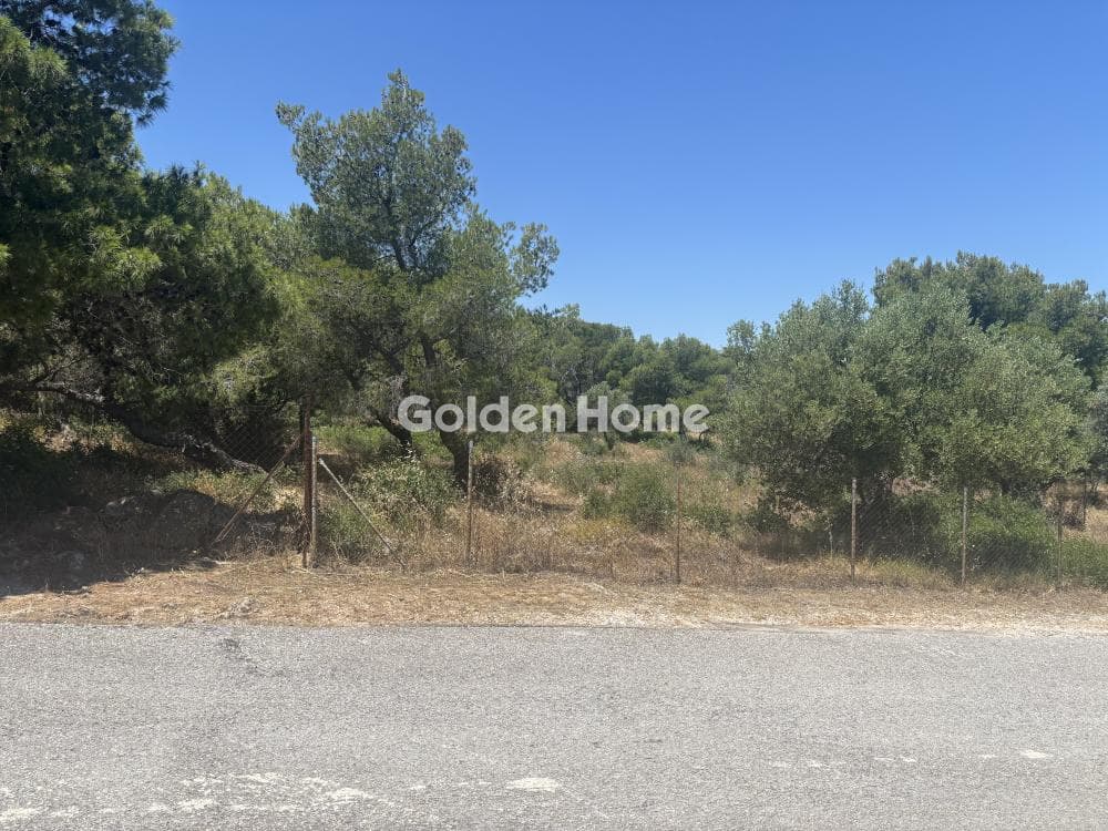 Parcel in Perivolakia, Rafina — Photo 1 of 9