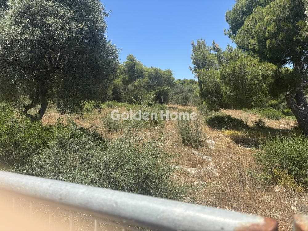 Parcel in Perivolakia, Rafina — Photo 2 of 9