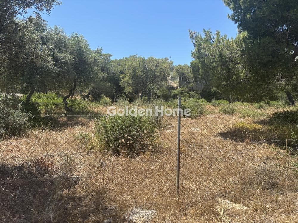 Parcel in Perivolakia, Rafina — Photo 3 of 9