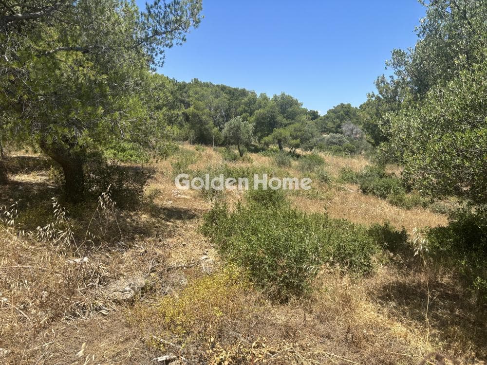 Parcel in Perivolakia, Rafina — Photo 5 of 9