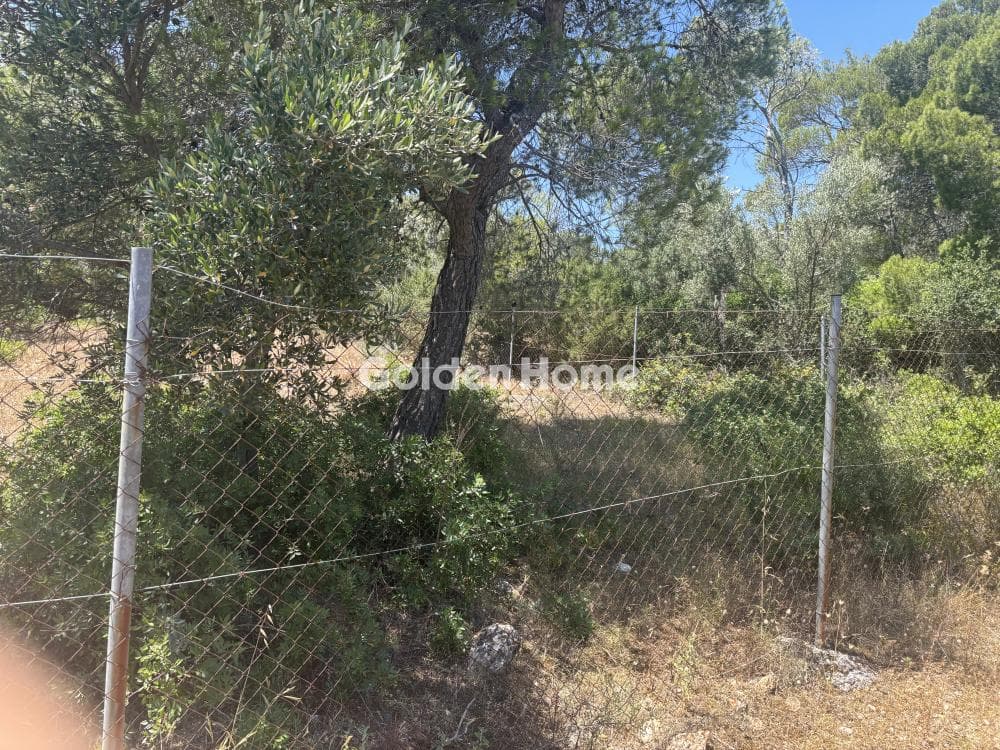 Parcel in Perivolakia, Rafina — Photo 4 of 9