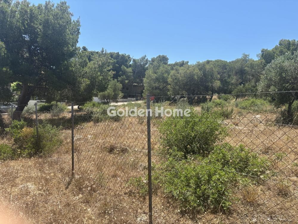 Parcel in Perivolakia, Rafina — Photo 6 of 9