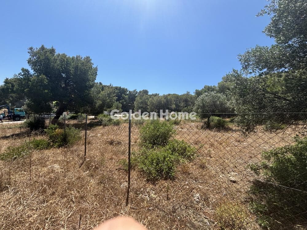 Parcel in Perivolakia, Rafina — Photo 7 of 9