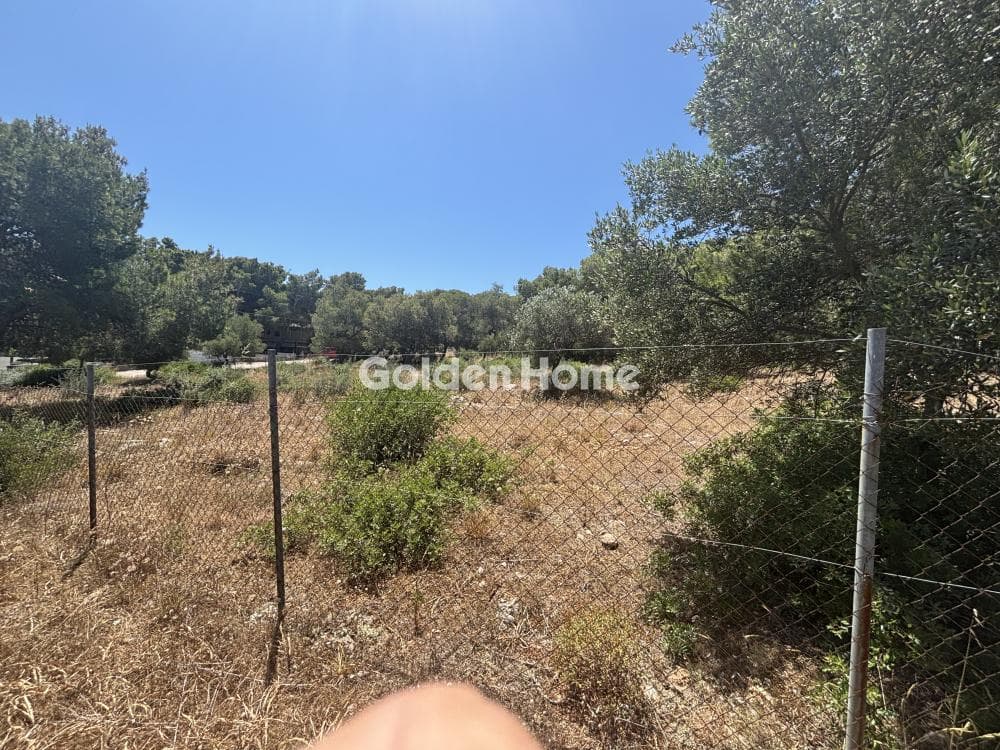 Parcel in Perivolakia, Rafina — Photo 8 of 9