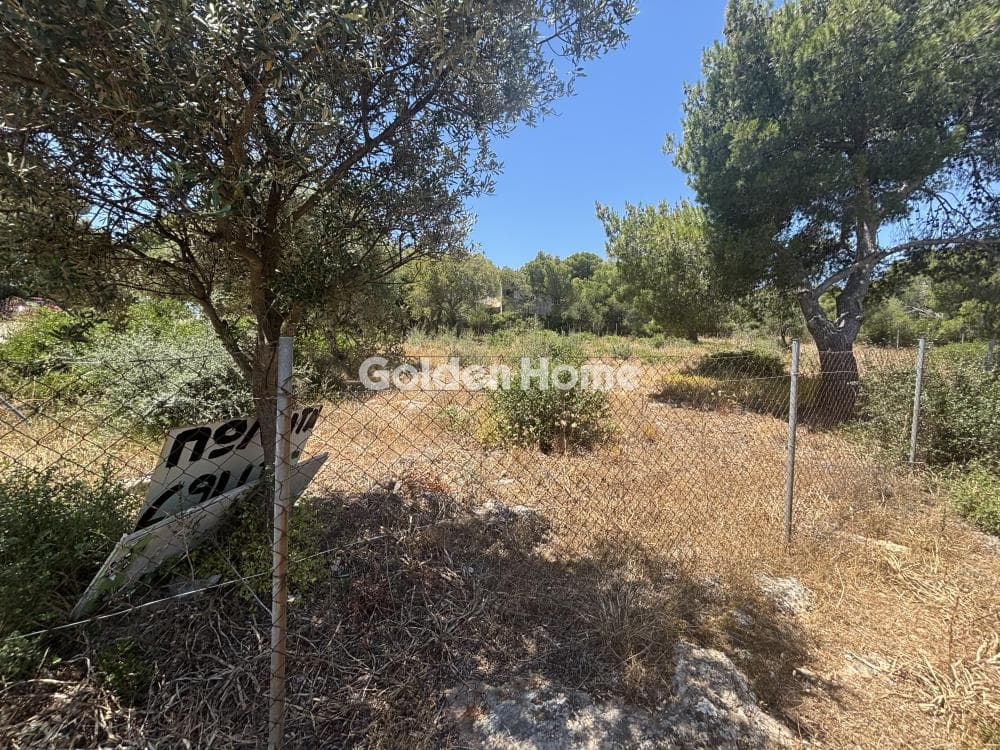 Parcel in Perivolakia, Rafina — Photo 9 of 9