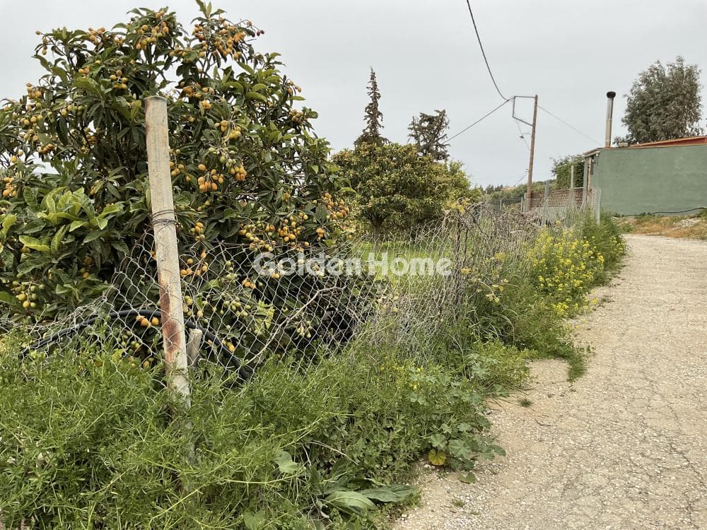 Οικόπεδο στην Κάτω Καλέσια, Τέμενος — Φωτογραφία 1 από 13