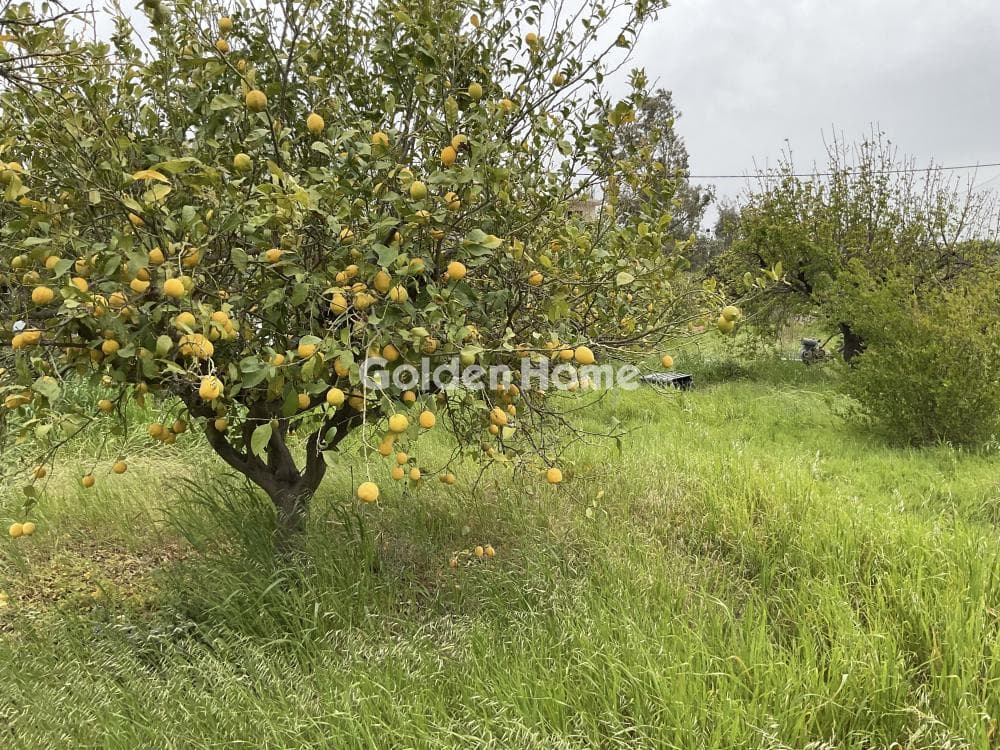 Οικόπεδο στην Κάτω Καλέσια, Τέμενος — Φωτογραφία 13 από 13