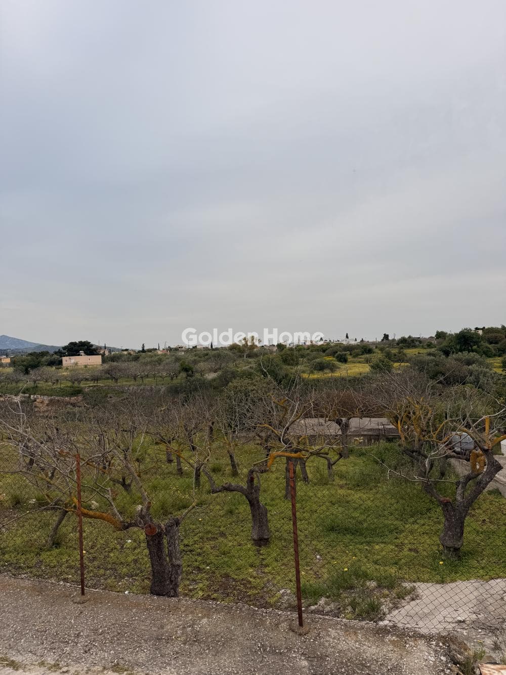 Οικόπεδο στην Κυψέλη, Αίγινα — Φωτογραφία 3 από 4