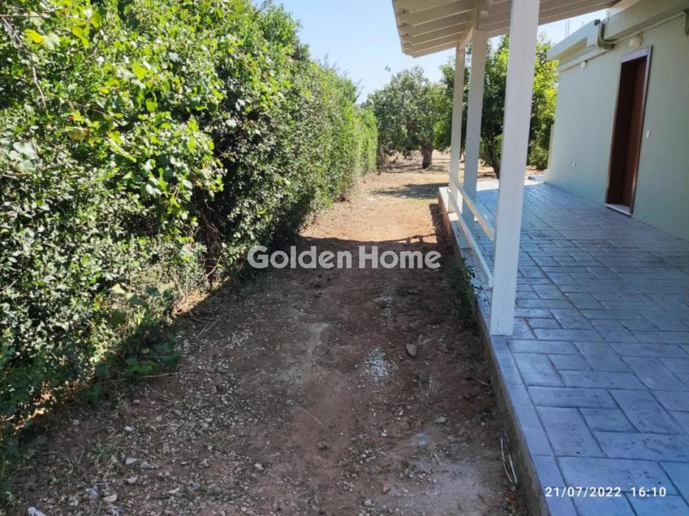 House in Lamprika, Koropi — Photo 5 of 33
