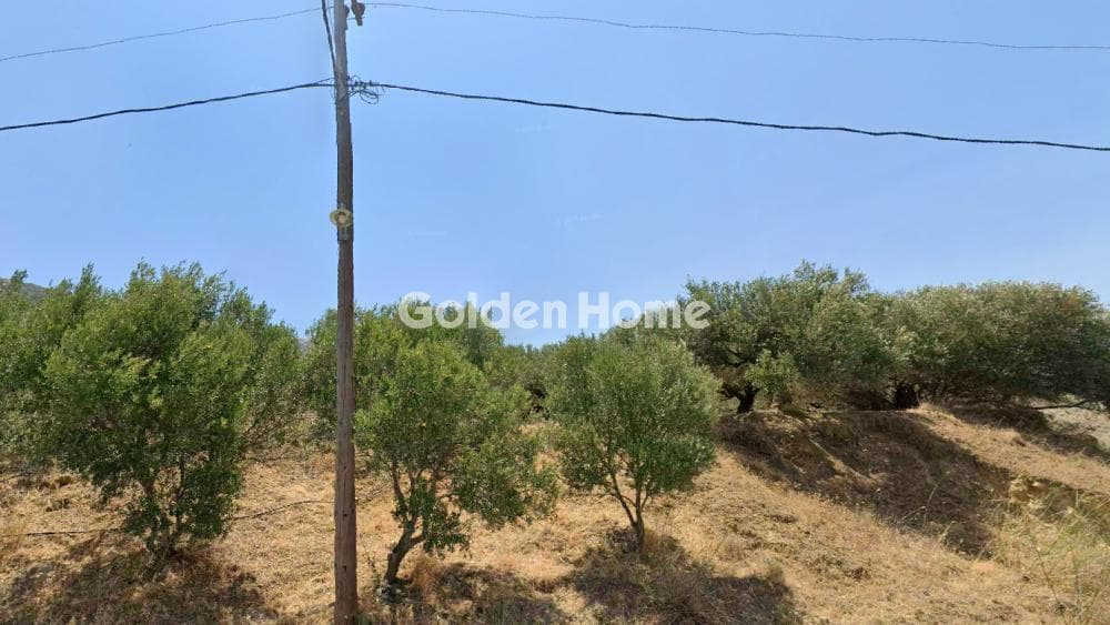 Οικόπεδο στην Άγιος Βλάσιος, Αρχάνες — Φωτογραφία 1 από 2