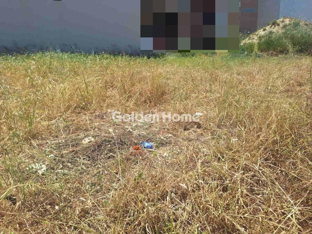 Οικόπεδο στην Βασιλείες, Αρχάνες — Φωτογραφία 5 από 7