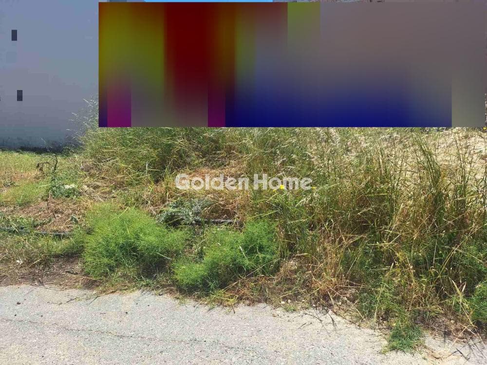 Οικόπεδο στην Βασιλείες, Αρχάνες — Φωτογραφία 6 από 7