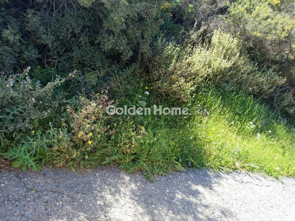 Building Plot in Center, Mallia — Photo 3 of 8