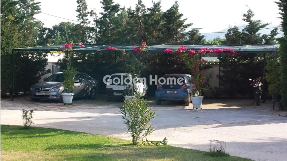 Μονοκατοικία στην Άγιος Παντελεήμονας, Νέα Μάκρη — Φωτογραφία 3 από 18