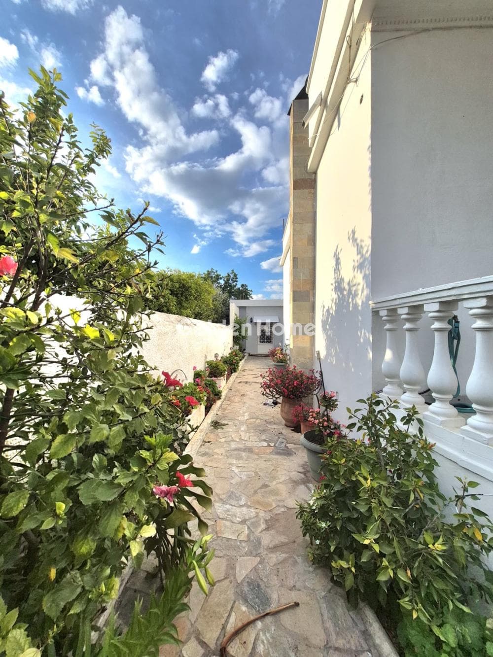 House in Selinia, Salamina — Photo 13 of 16