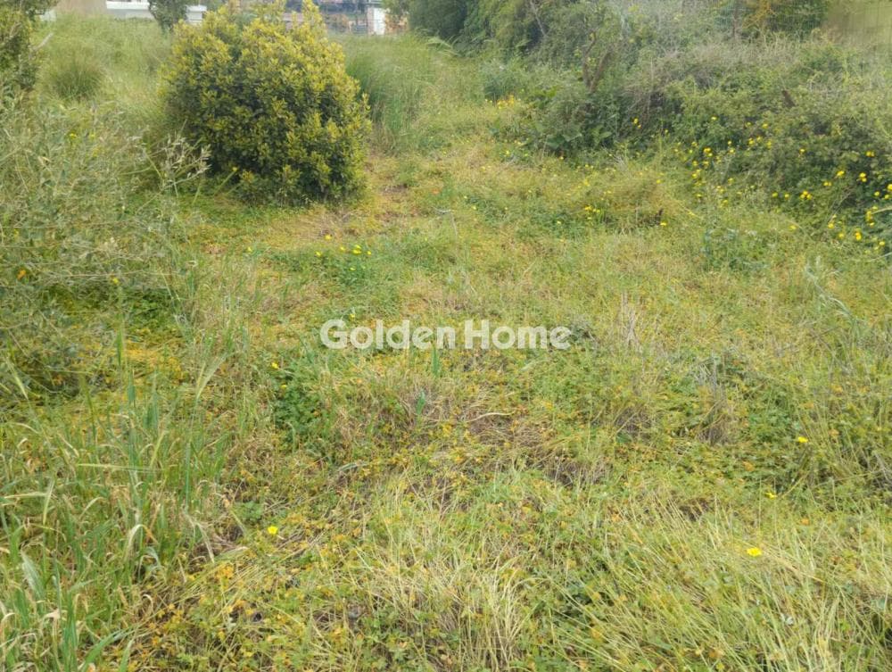 Building Plot in Kounavoi, Archanes — Photo 1 of 3