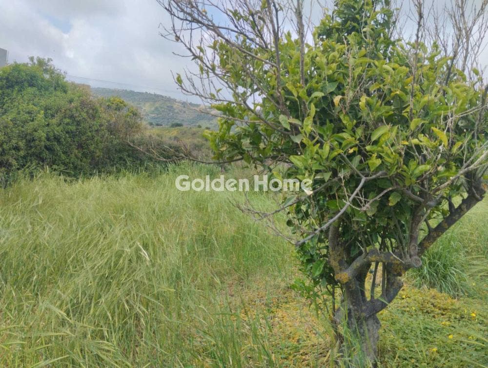 Building Plot in Kounavoi, Archanes — Photo 2 of 3