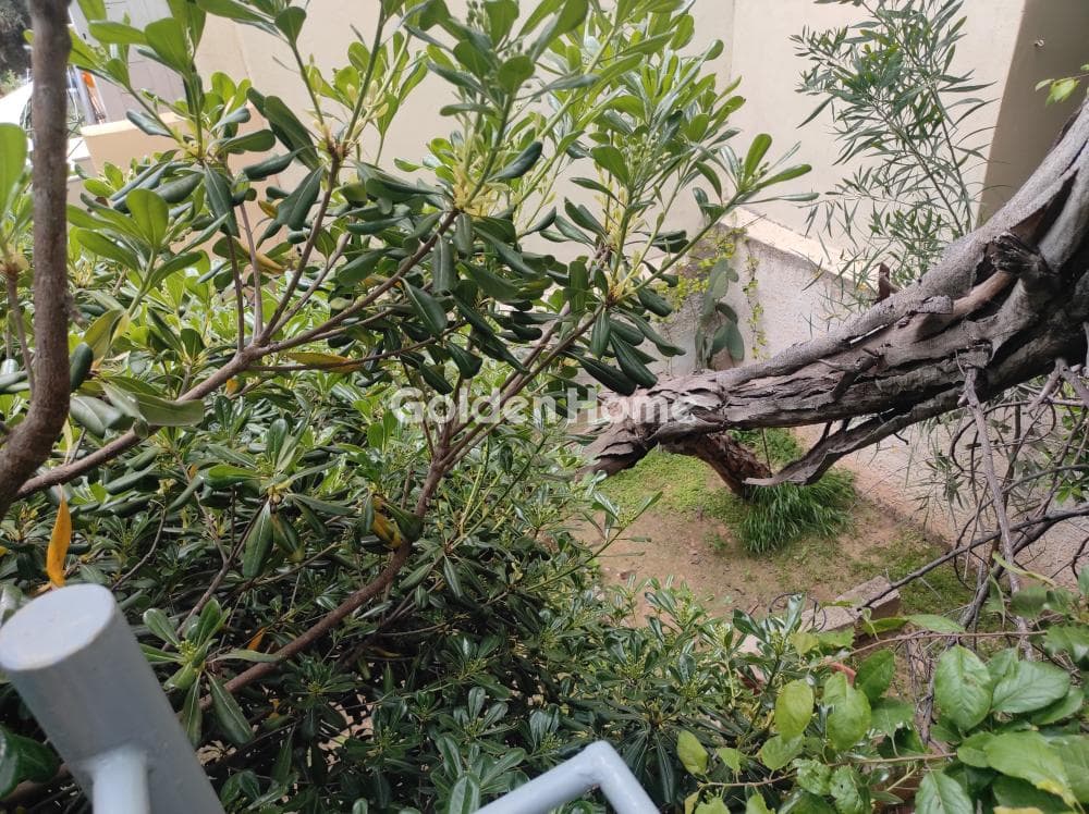 House in Mpalana, Gerakas — Photo 19 of 52