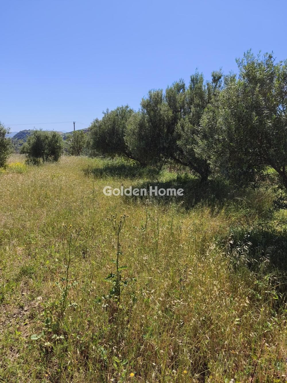 Building Plot in Moni Palianis, Tetrachori — Photo 4 of 4