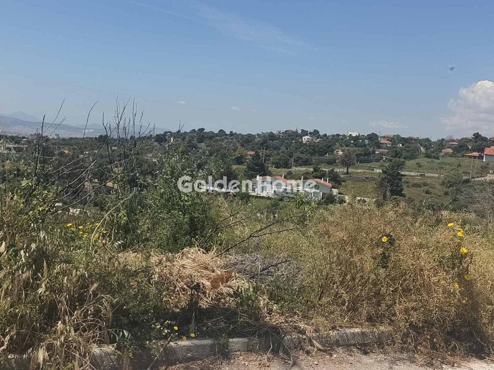 Οικόπεδο στην Καλλιθέα, Πεντέλη — Φωτογραφία 11 από 14