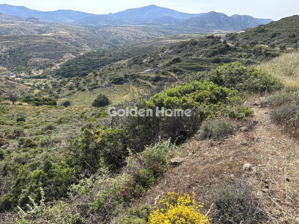 Αγροτεμάχιο στην Χώρα Νάξου, Νάξος — Φωτογραφία 3 από 3