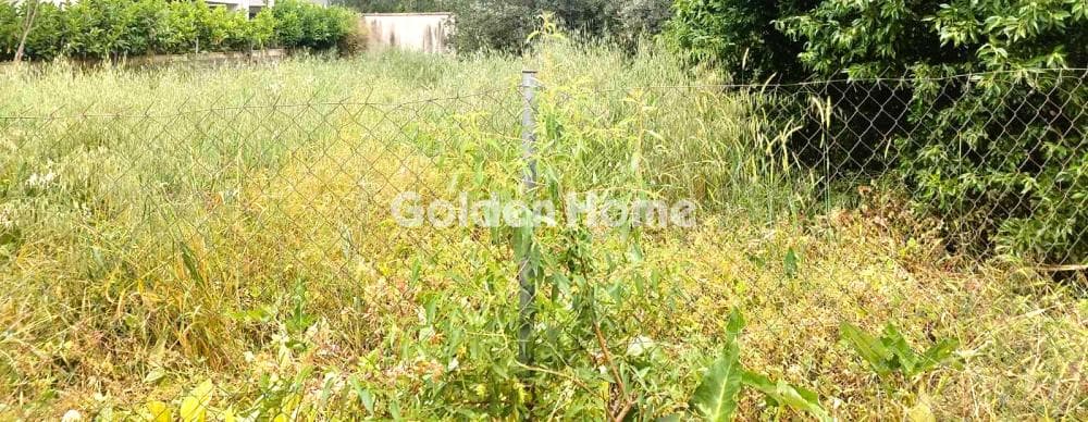 Building Plot in A.S.PAI.T.E., Marousi — Photo 2 of 2