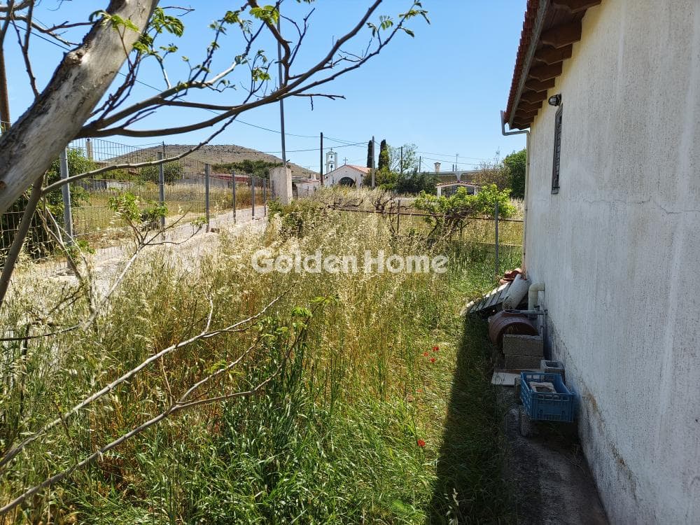 House in Kalivia, Kalivia Thorikou — Photo 16 of 16