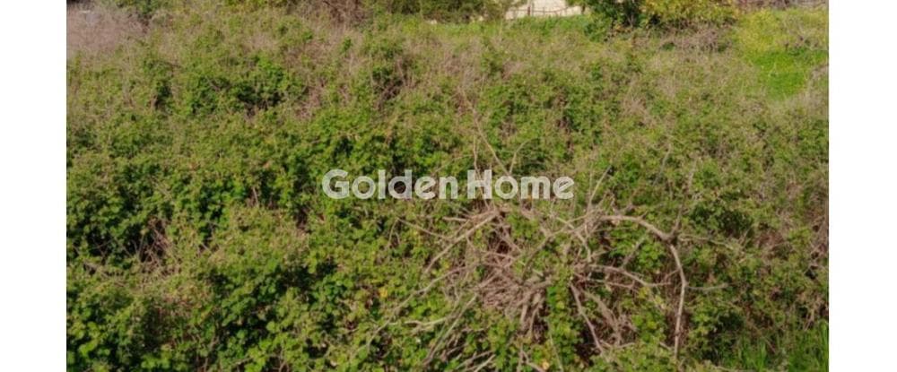 Building Plot in Tefeli, Arkalochori — Photo 2 of 4