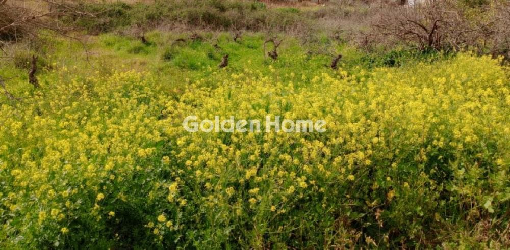 Building Plot in Tefeli, Arkalochori — Photo 1 of 4