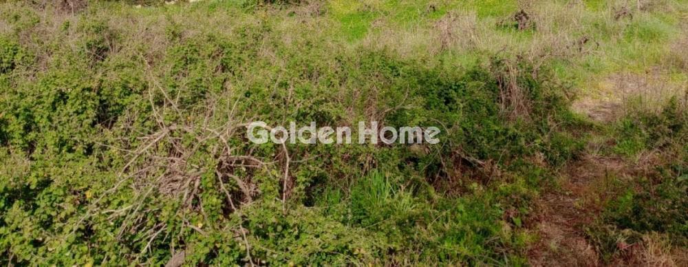 Building Plot in Tefeli, Arkalochori — Photo 3 of 4