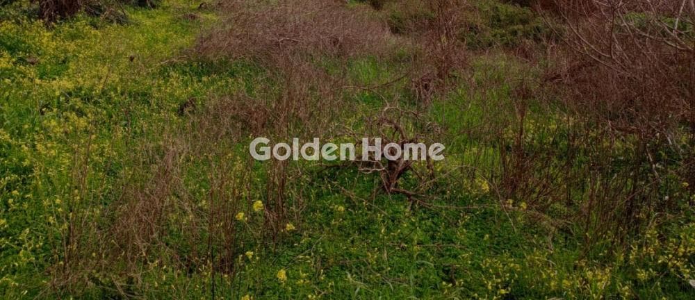 Building Plot in Tefeli, Arkalochori — Photo 4 of 4