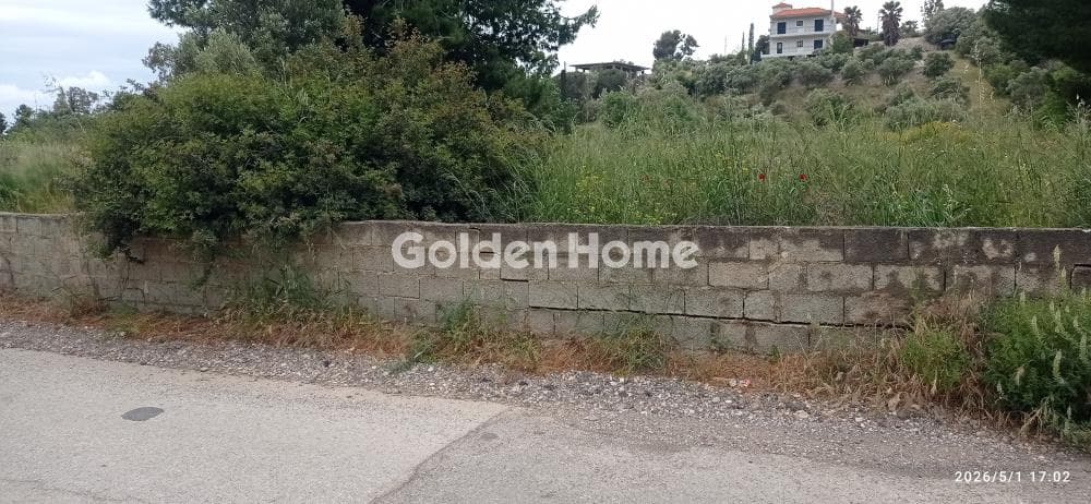 Οικόπεδο στην Λαμπρικά, Κορωπί — Φωτογραφία 1 από 5