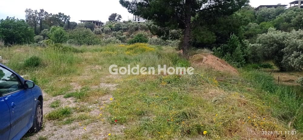 Οικόπεδο στην Λαμπρικά, Κορωπί — Φωτογραφία 3 από 5