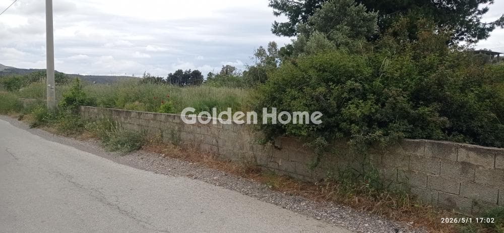 Οικόπεδο στην Λαμπρικά, Κορωπί — Φωτογραφία 5 από 5