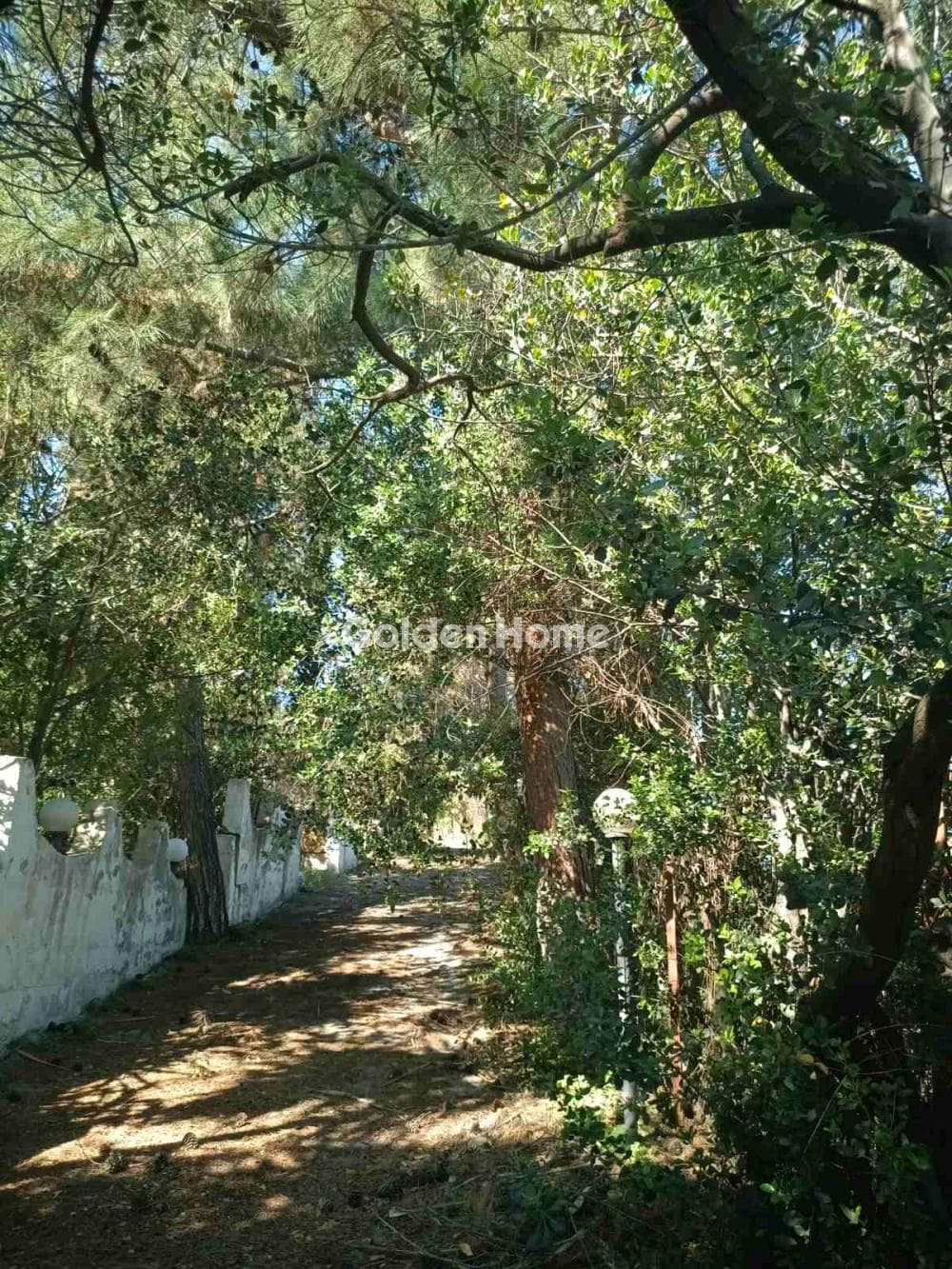 Οικόπεδο στην Άγιος Αντώνιος, Τέμενος — Φωτογραφία 1 από 3