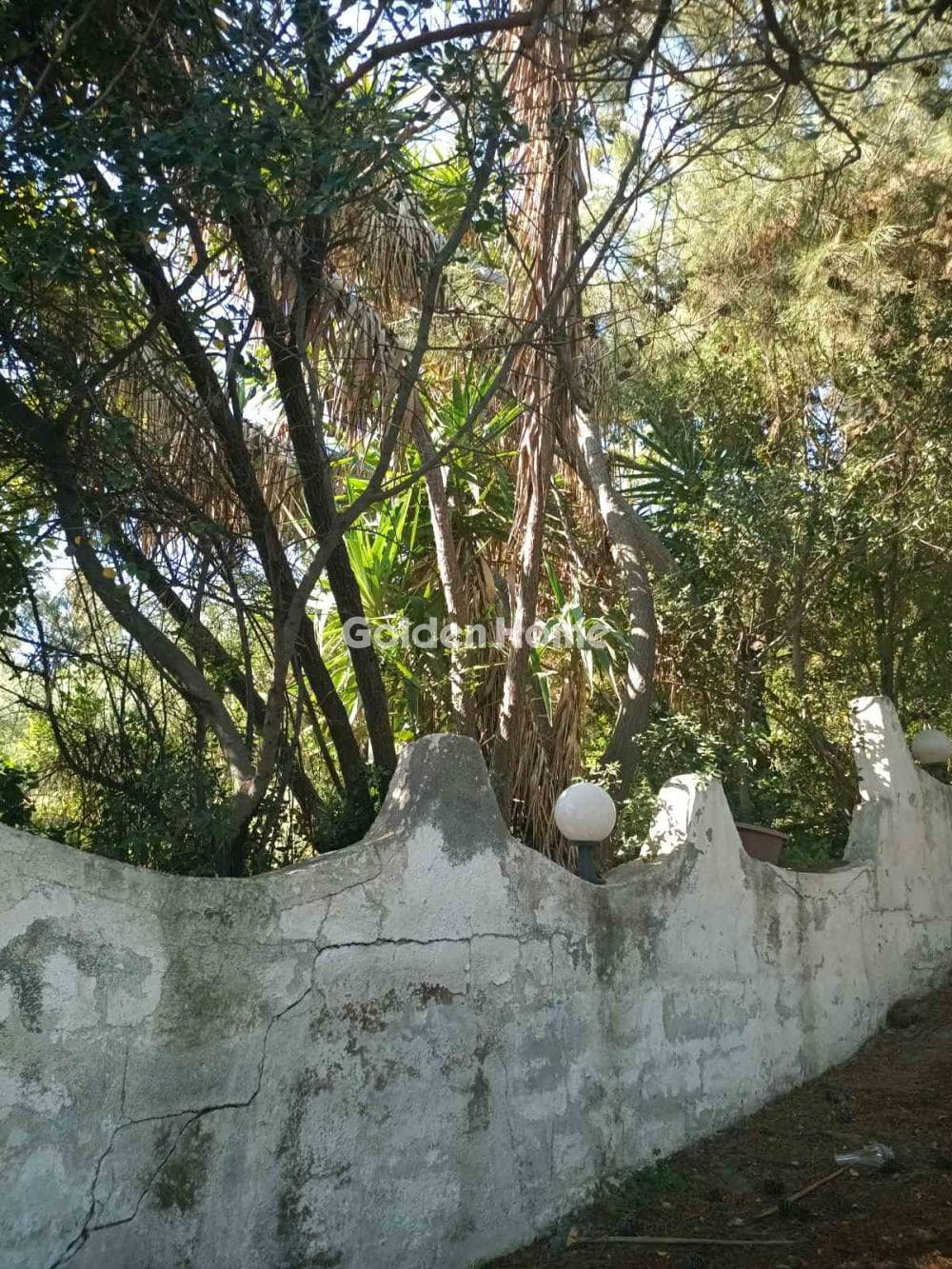 Οικόπεδο στην Άγιος Αντώνιος, Τέμενος — Φωτογραφία 2 από 3