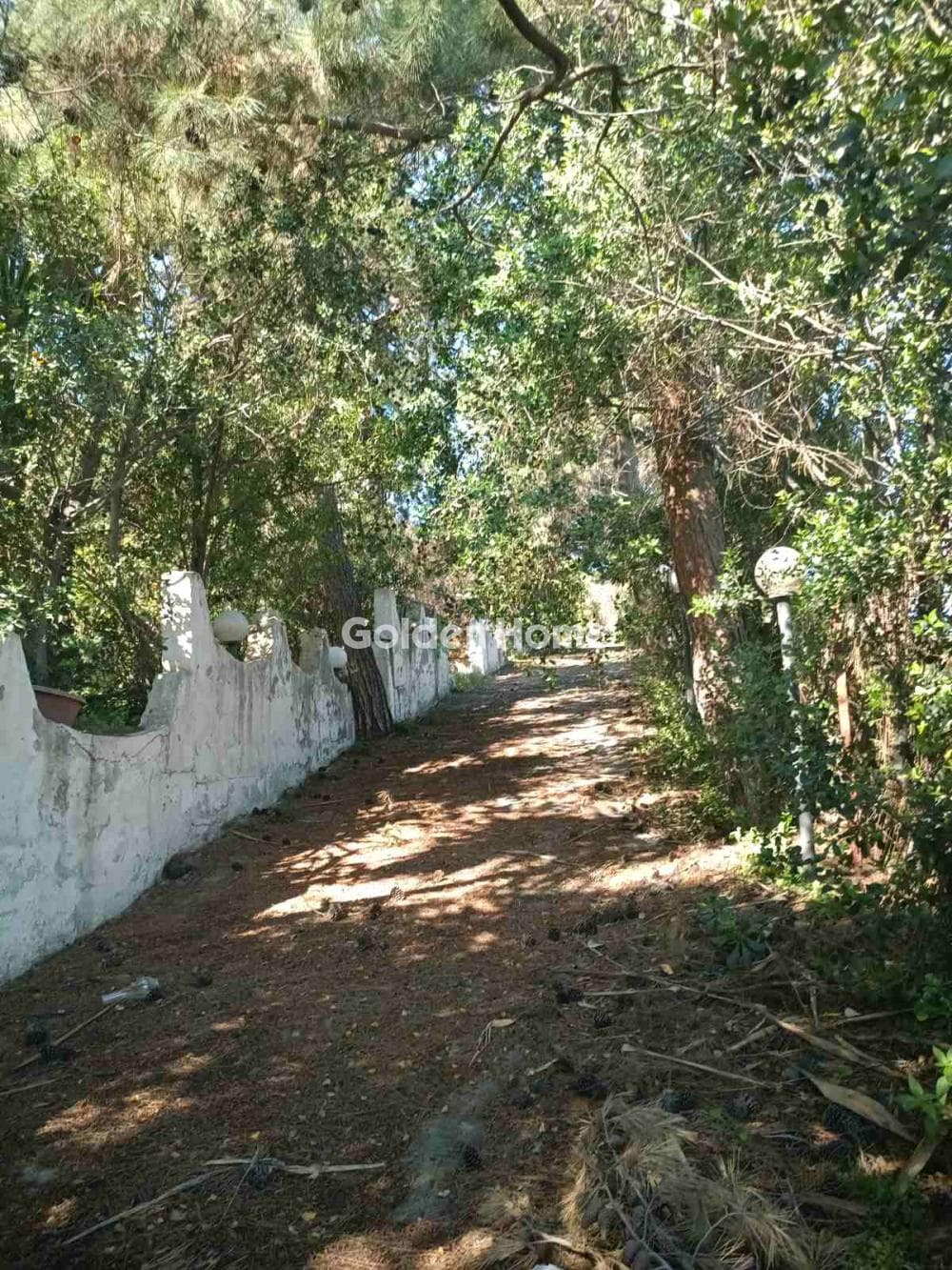 Οικόπεδο στην Άγιος Αντώνιος, Τέμενος — Φωτογραφία 3 από 3