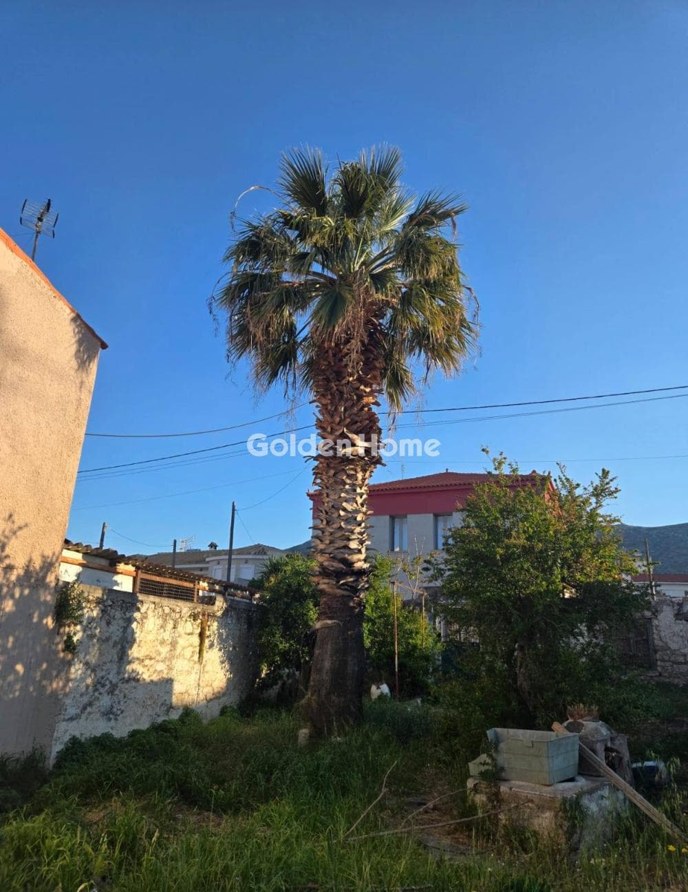 Building Plot in Venio Daskaleiou, Keratea — Photo 4 of 6