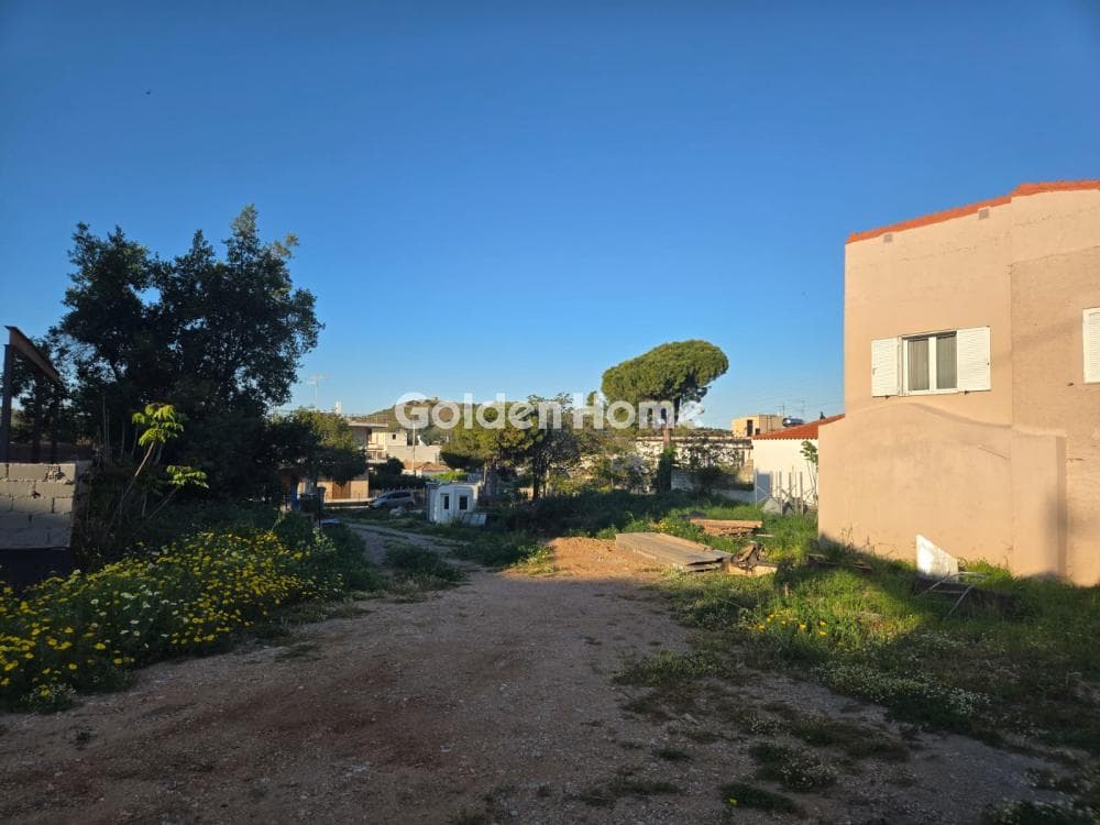 Building Plot in Venio Daskaleiou, Keratea — Photo 5 of 6