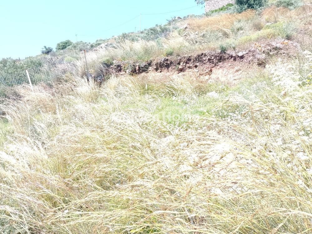 Οικόπεδο στην Σφεντούρι, Αίγινα — Φωτογραφία 3 από 6